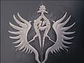 Salamander crest.jpg