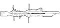 Leonidas II (FFC).jpg